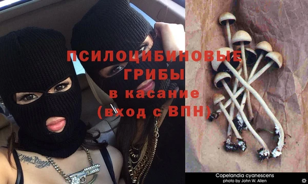 ALPHA-PVP Верхний Тагил