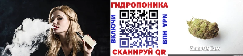 Купить закладки  Новомичуринск  Бошки Шишки Ganja 